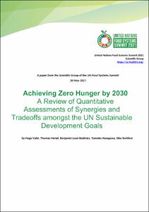 research paper about zero hunger Thumbnail